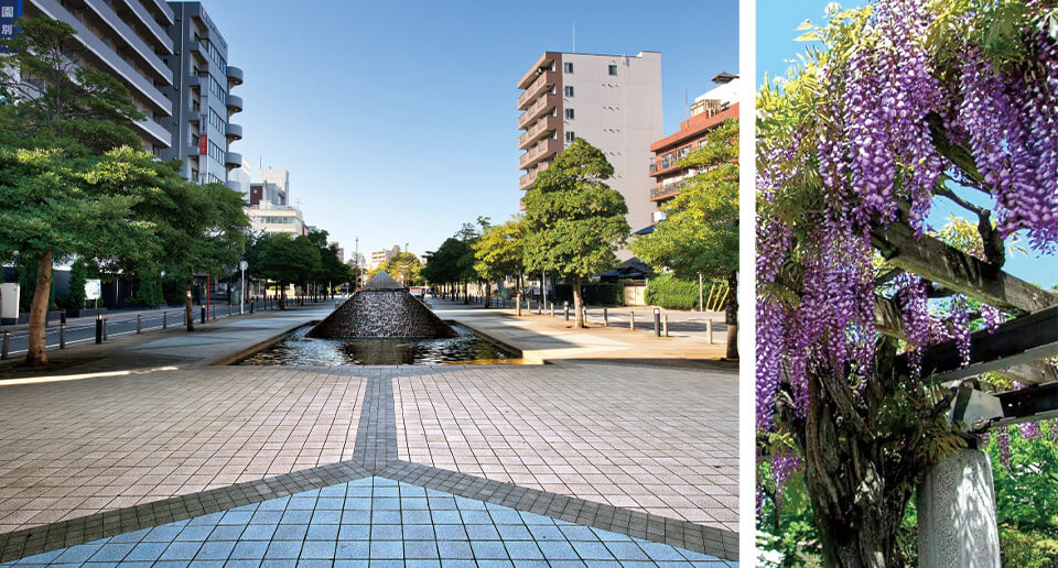 新宿公園