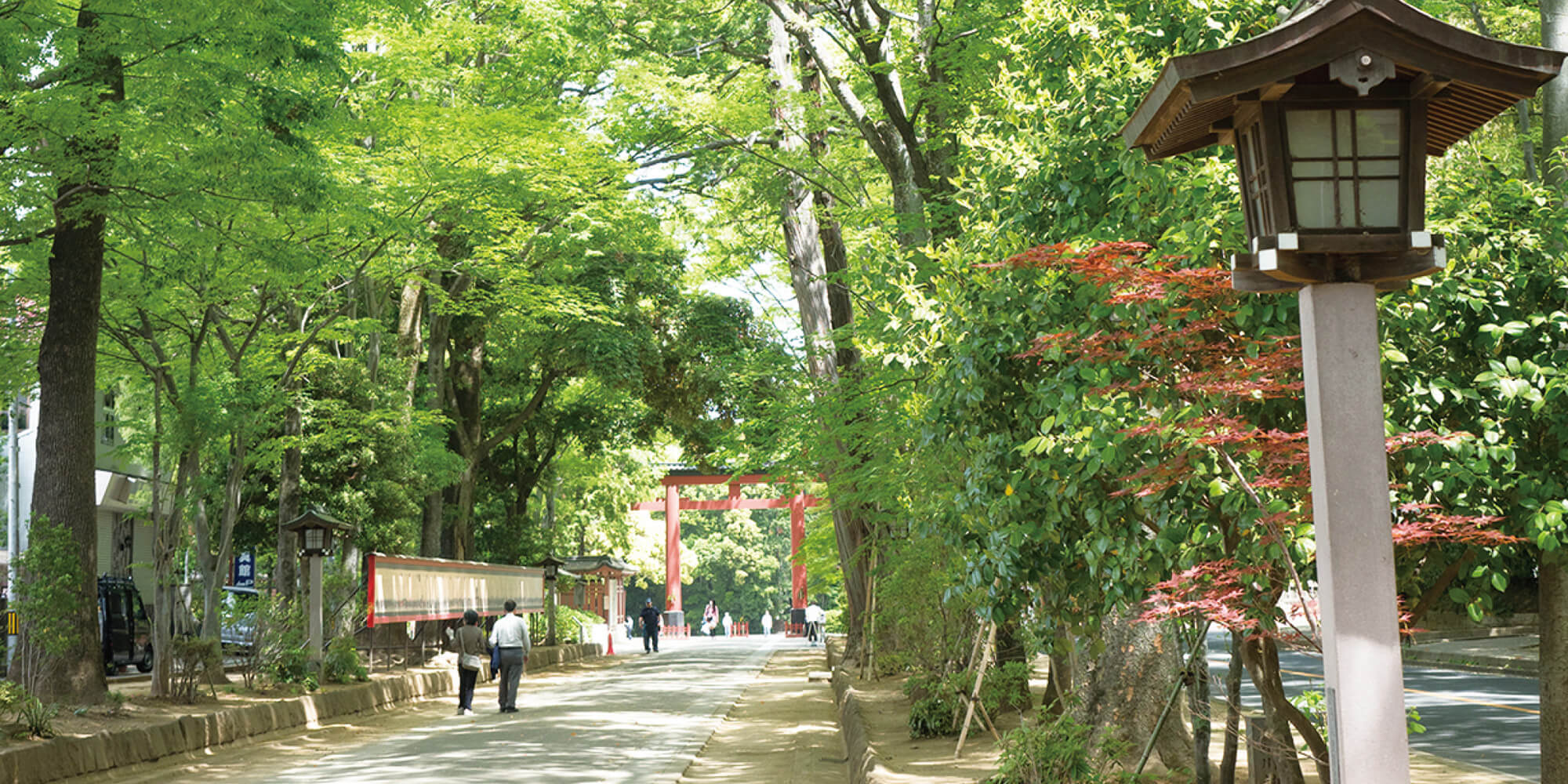 氷川参道