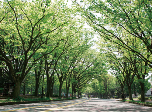 駒沢オリンピック公園