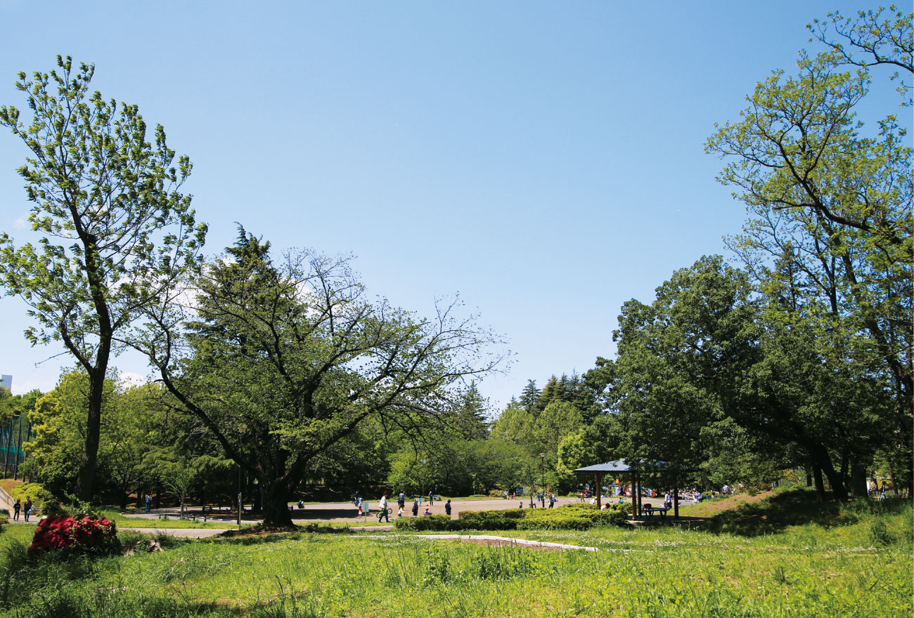 美しが丘公園①