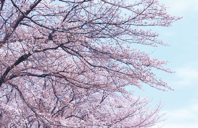 美しが丘公園②