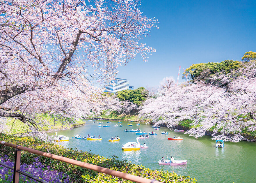 千鳥ヶ淵