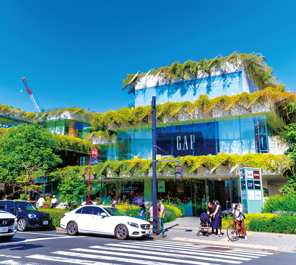 玉川高島屋S.C.マロニエコート