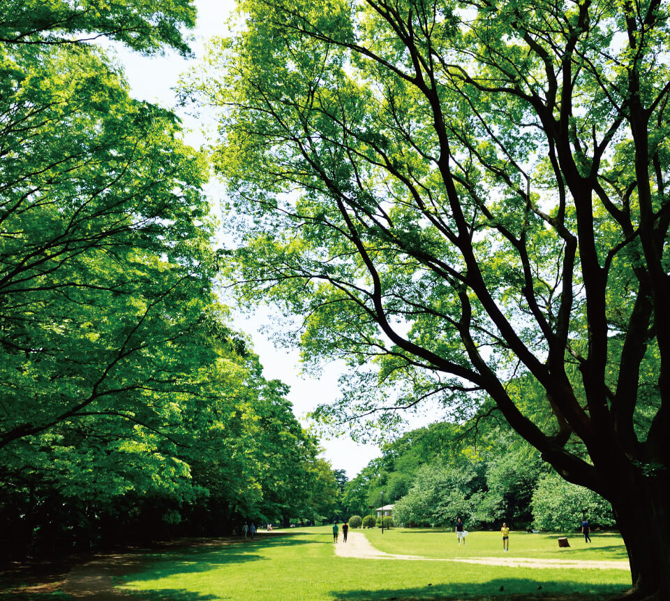 砧公園①