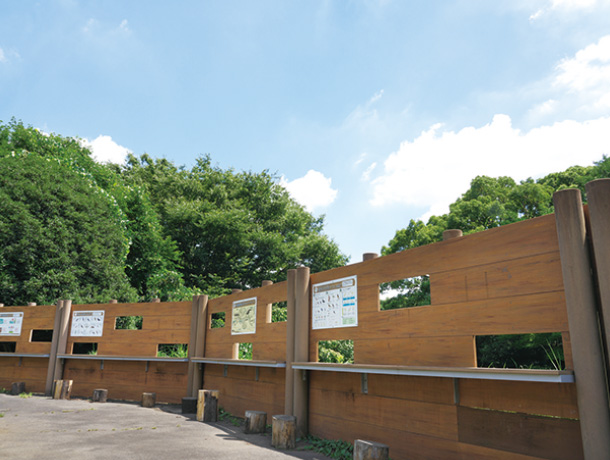 砧公園④