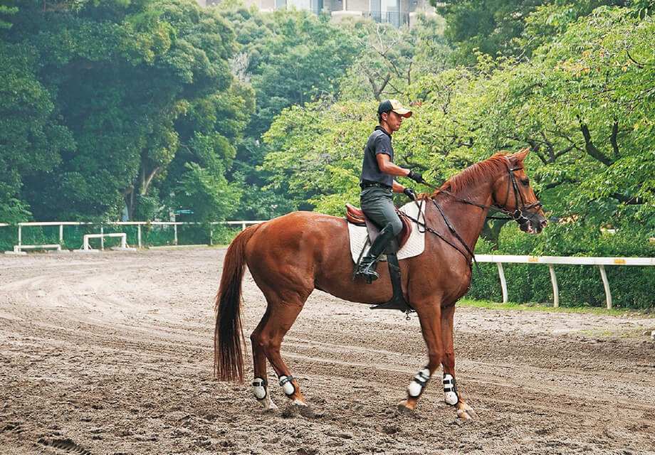 JRA馬事公苑③